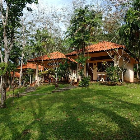 Koh Mook Rubber Tree Bungalows Extérieur photo